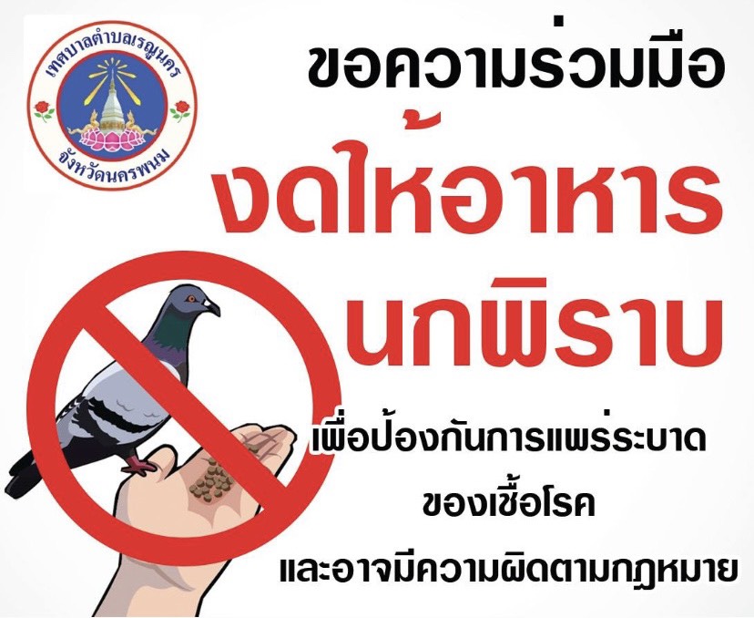 เทศบาลตำบลเรณูนคร ขอความร่วมมืองดให้อาหารนกพิราบ เพื่อป้องกันการแพร่ระบาดของเชื้อโรค และอาจมีความผิดตามกฎหมาย  *โรคที่เกิดจากนกพิราบ ซึ่งเป็นพาหะนำโรค โดยเฉพาะอุจจาระของนกที่ก่อให้เกิดโรคไข้สมองอักเสบและระบบทางเดินหายใจ เป็นต้น **การให้อาหารนกอาจมีความผิดตามพระราชบัญญัติรักษาความสะอาดและความเป็นระเบียบเรียบร้อยของบ้านเมือง พ.ศ. 2535 และที่แก้ไขเพิ่มเติม (ฉบับที่ 2) พ.ศ. 2560 ตามมาตรา 32 (1) และ (2) ประกอบมาตรา 54 ต้องระวางโทษปรับไม่เกินสองพันบาท และมีความผิดตามพระราชบัญญัติการสาธารณสุข พ.ศ. 2535 และที่แก้ไขเพิ่มเติม (ฉบับที่ 3) พ.ศ. 2560 ตามาตรา 27 และมาตรา 28 ประกอบมาตรา 75 ซึ่งต้องระวางโทษจำคุกไม่เกิน 3 เดือน หรือปรับไม่เกิน 25,000 บาท หรือทั้งจำทั้งปรับ